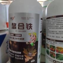 熬合铁叶面肥喷施滴灌冲施补充叶绿素色泽鲜靓果型好