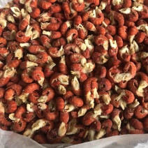 产地一级干冰氮冻龙虾尾适用于餐饮，终端批发零售
