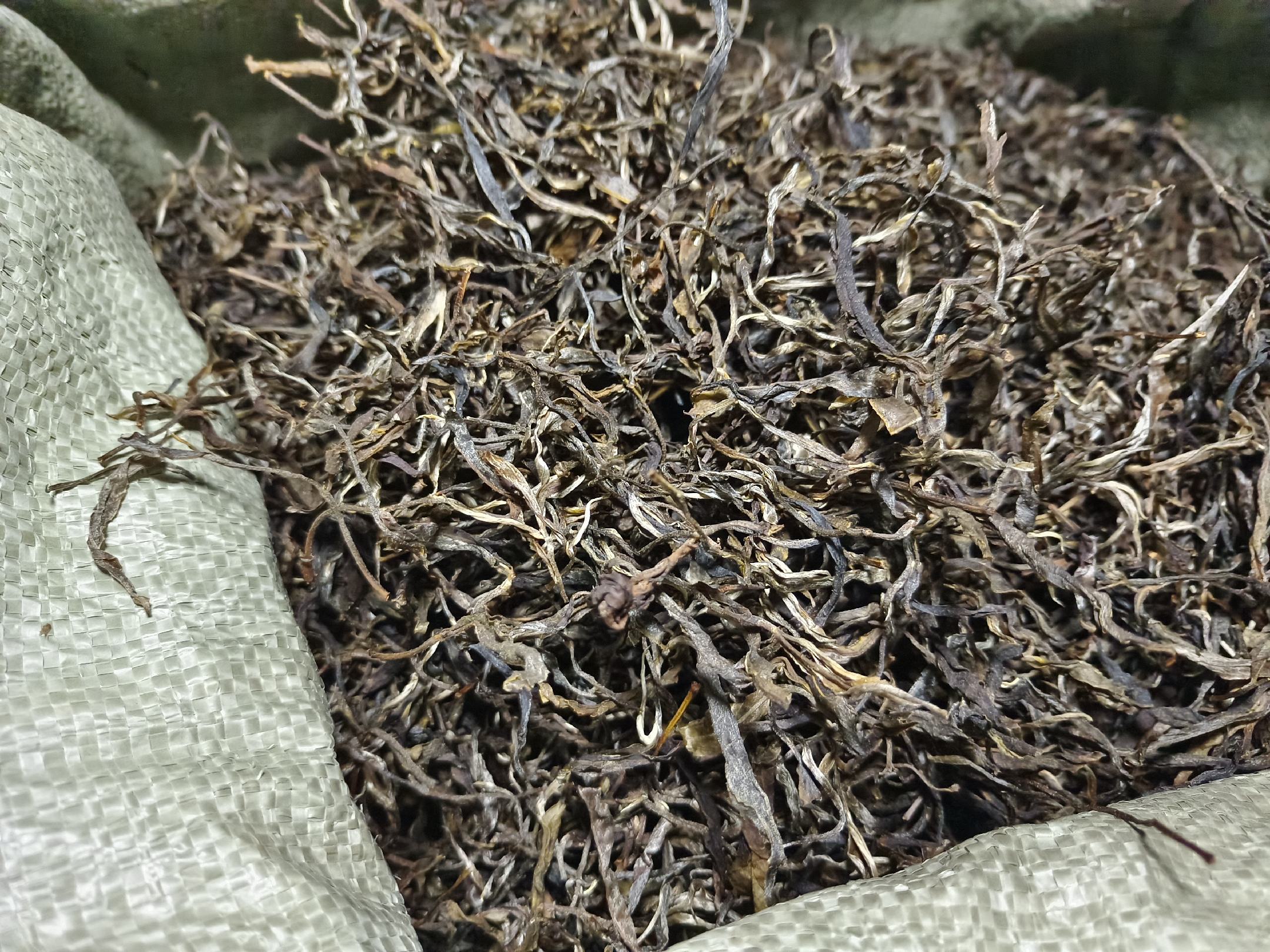 红茶妃子笑的干茶特写