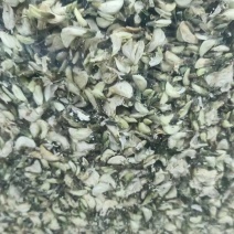 干洋槐花，脱水洋槐花，现摘现烘干，色泽好，无杂质无硫