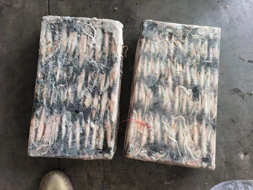 清洗干净的花蛤,壳体干净无泥沙残留 花蛤清洗干净