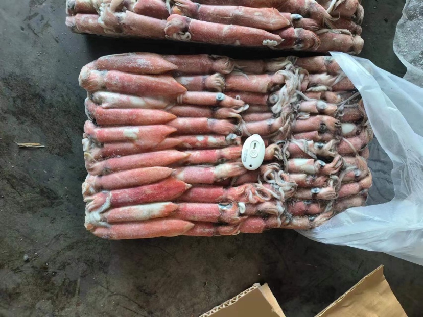 冰鲜鱿鱼解冻过程