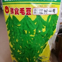 毛豆种子春季秋季四季高产早熟东北农家大荚蔬菜种