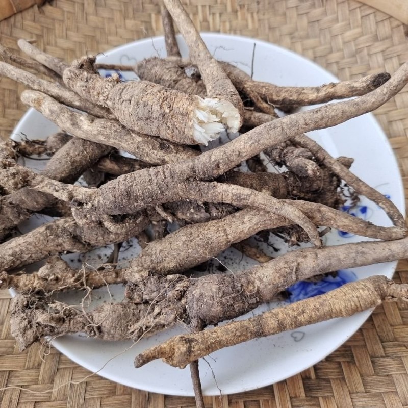 甘肃野生南沙参散装500克新鲜鸡腿儿中药材泡参新货