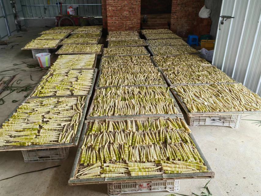 焯水后的竹笋整齐摆放在晾架上准备冷冻