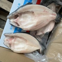开背巴沙