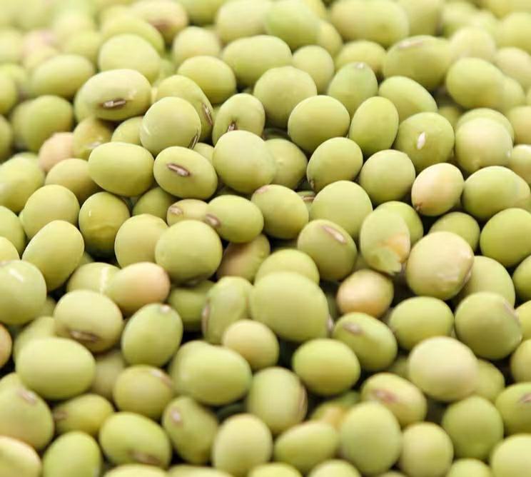 成品肉饼蒸毛豆色泽诱人,肉饼饱满,毛豆翠绿 肉饼蒸毛豆成品图