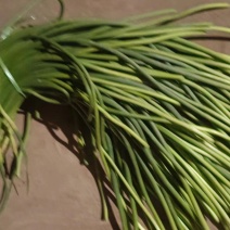 蒜薹蒜苔次薹大量上市赶集市场电商团购