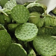 上海鲜莲蓬大量供应产地直发青莲蓬嫩莲蓬发货