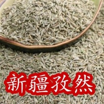 孜然香料孜然正品保证质量中药材批发华安堂