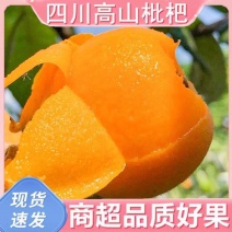 [强烈推荐]大五星枇杷四川汉源枇杷大量上市各种规格