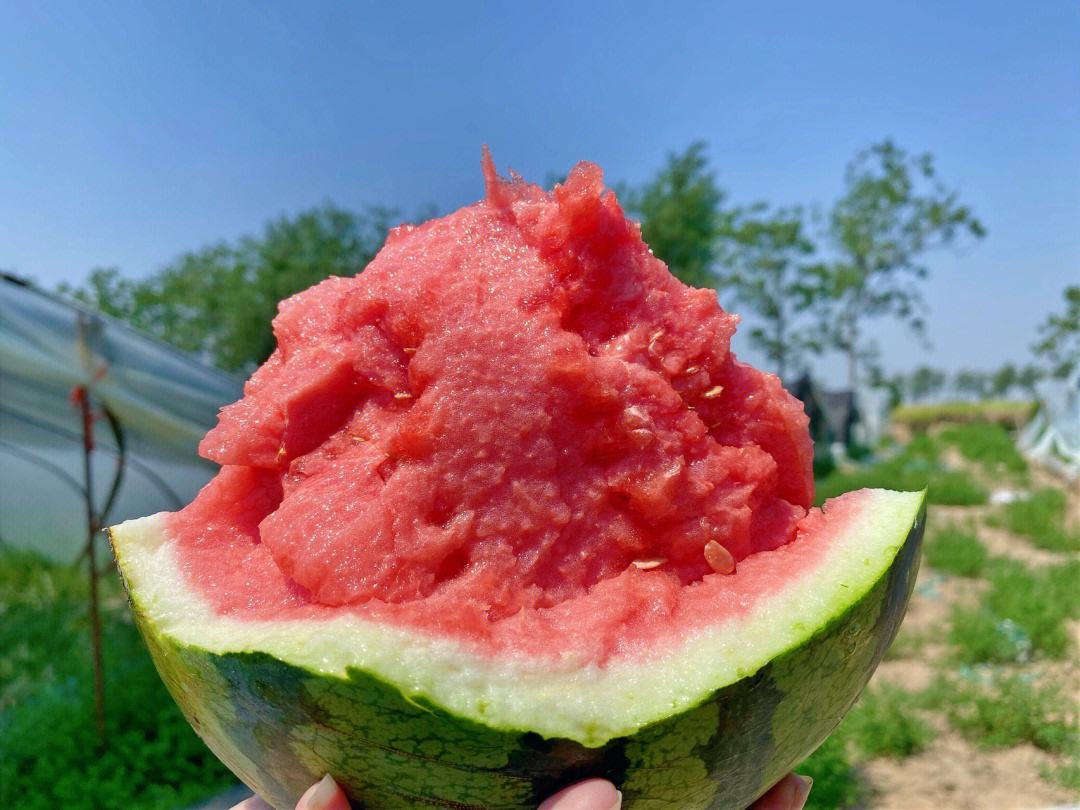新鲜的西瓜与西红柿混合榨成果汁,色泽鲜艳,口感清新 西瓜西红柿混合果汁
