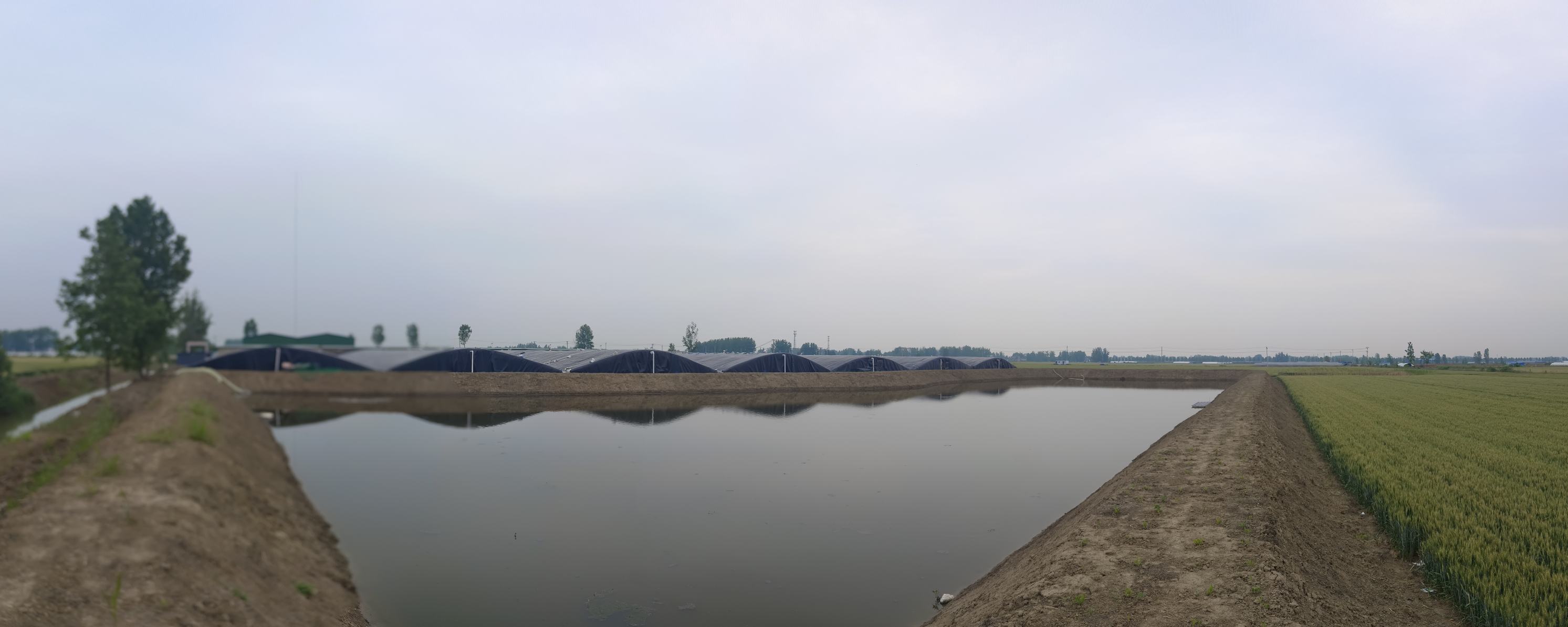 花蛤养殖基地的现代化养殖池