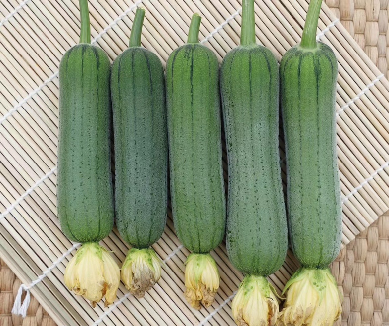 老熟丝瓜外观特写
