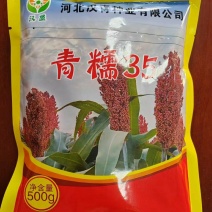 汉青种业有限公司——青糯35，生育期135天积温2800
