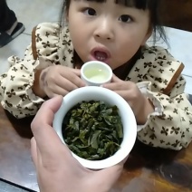2023年春茶批发【回甘好】核心产地感德铁观音耐泡度高