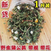 长白山蒲公英茶纯干天然野生蒲公英蒲公英根茶散装婆婆丁50