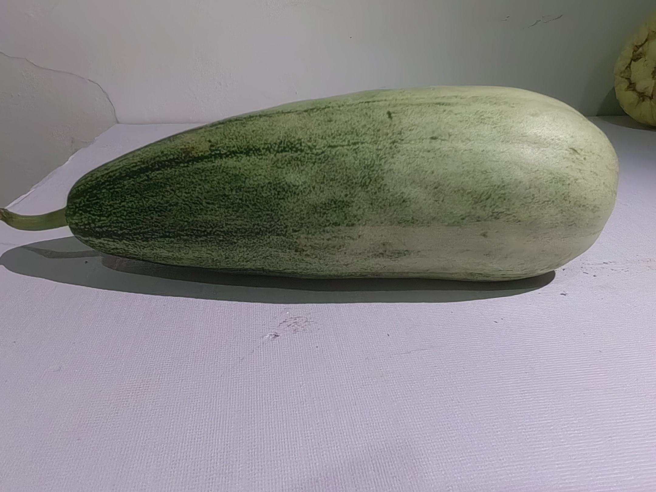 博洋9号甜瓜特写