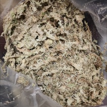 水苔藓干苔藓蝴蝶兰专用土水苔兰花土铁皮石斛盆栽植料透气捕