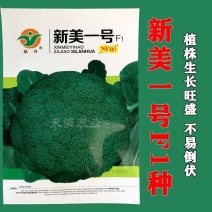 新美一号西兰花种籽春秋季花椰菜蔬菜种孑高产耐寒绿菜花蔬菜