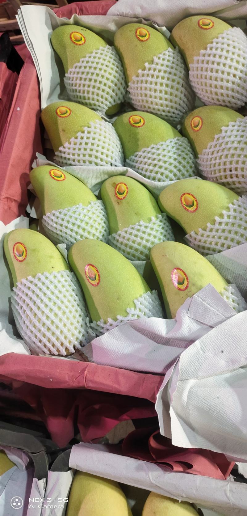 海南红金龙.金黄.两种芒果