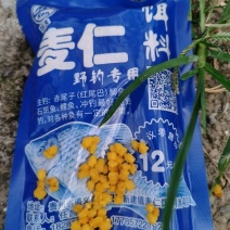 麦仁饵料鱼饵麦子