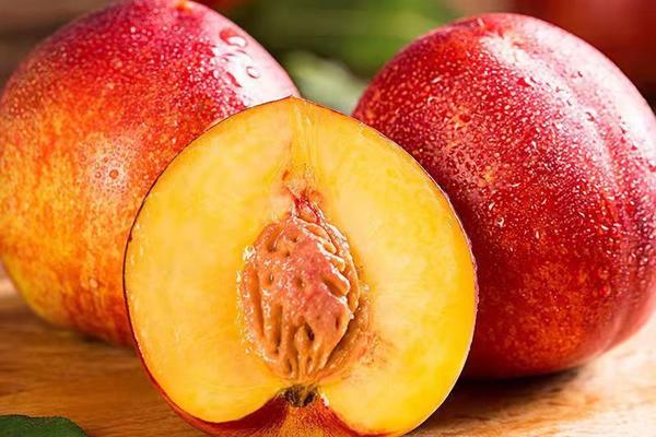 坏油桃切开后的内部腐烂情况