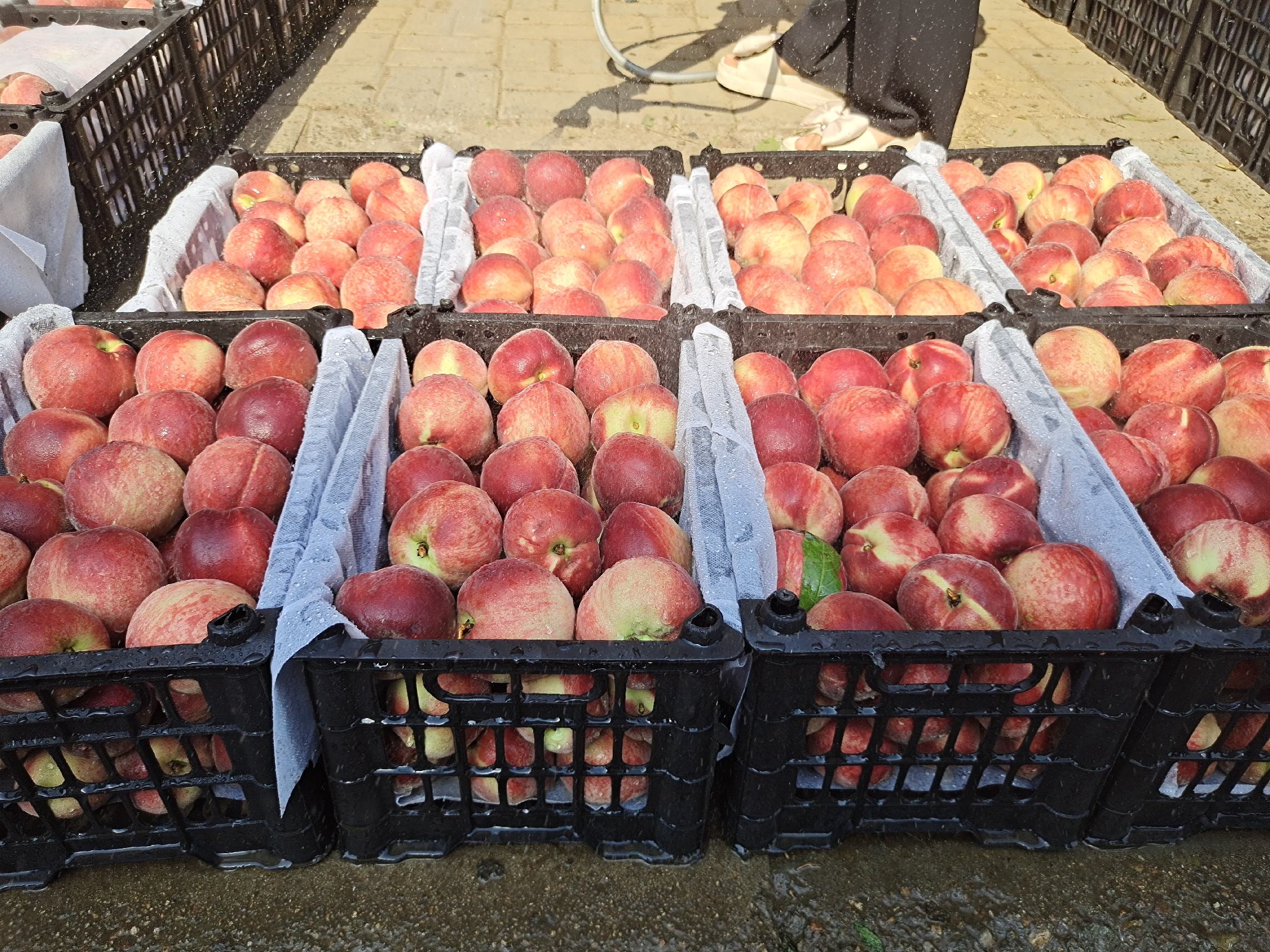 红不软桃包装与发货场景图