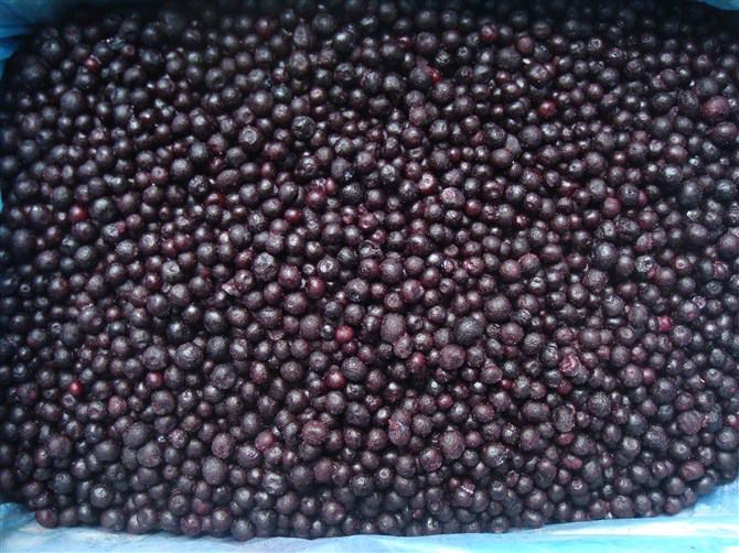 新鲜蓝莓被榨成果汁,液体呈现深紫色,果渣清晰可见 蓝莓榨汁过程展示