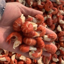 湛江纯干原料龙虾尾