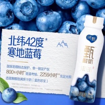 蒙牛纯甄