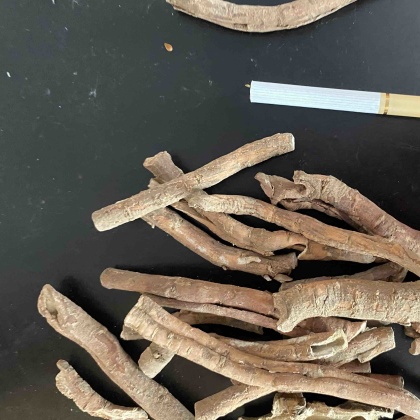 牡丹皮价格行情