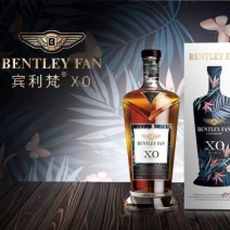 宾利梵XO