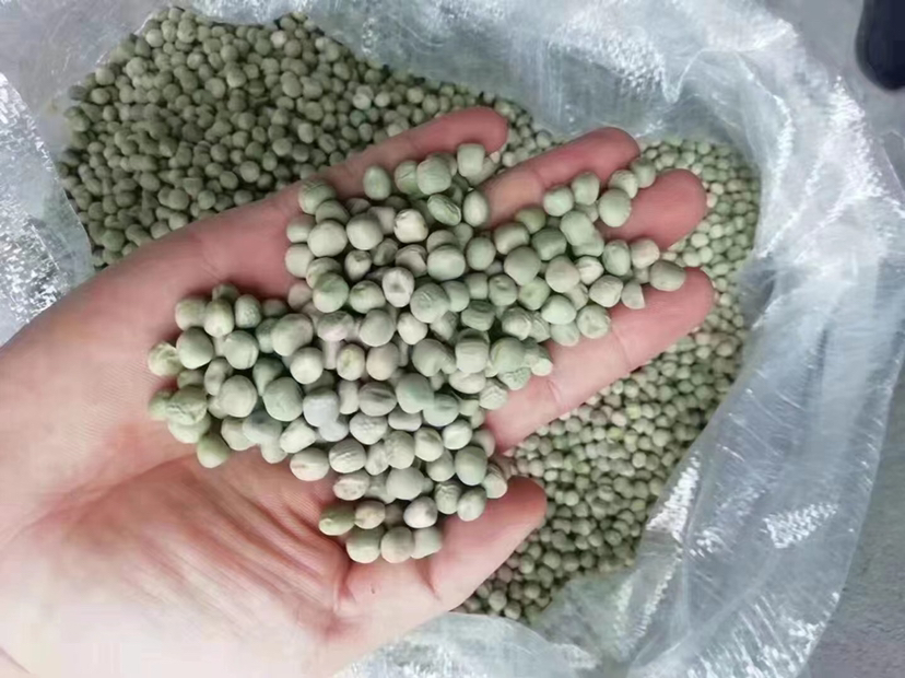 扁豆优质种子展示图