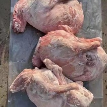 烤全羊食材真材实料做的烤全羊