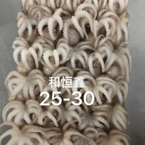 八爪鱼预制产品