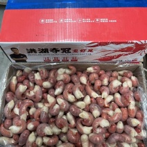 特价9斤虾尾全规格