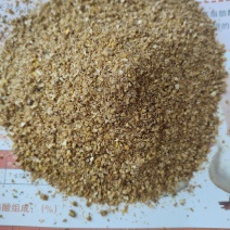 糖化玉米，蛋白9，脂肪5，含糖量20%，完全代替玉米