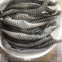 鱼皮原料捞汁食材凉拌小菜