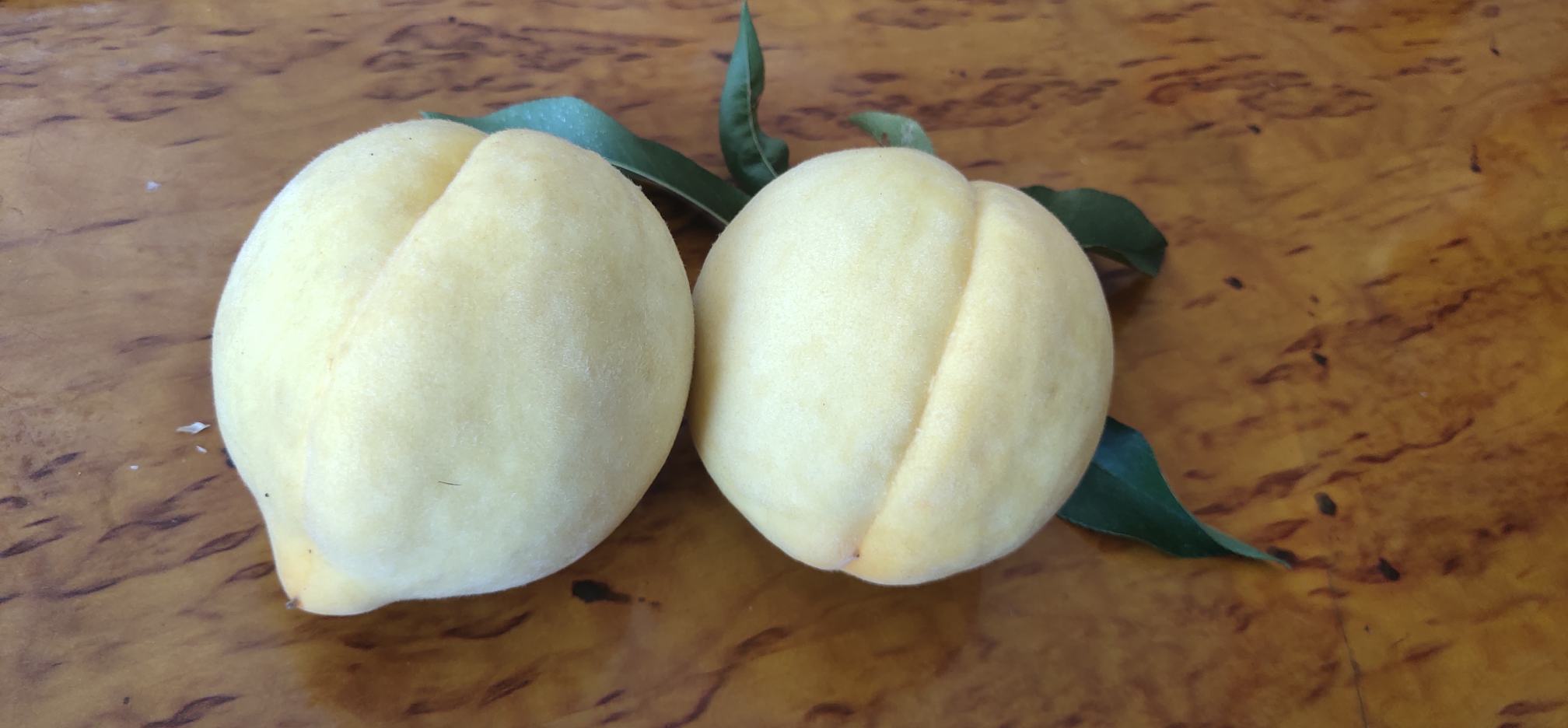 熟透的炎陵黄桃特写