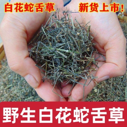白花蛇舌草价格行情