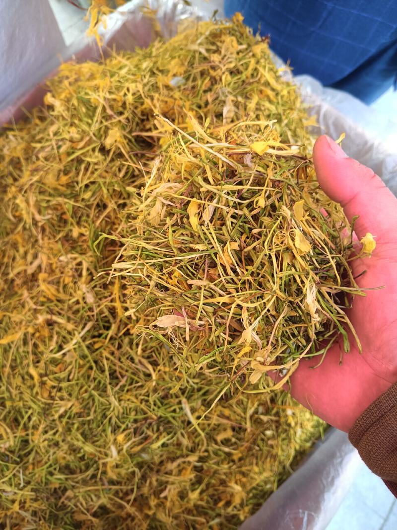 金银花中药材金银花无硫无添加批发零售各种规格