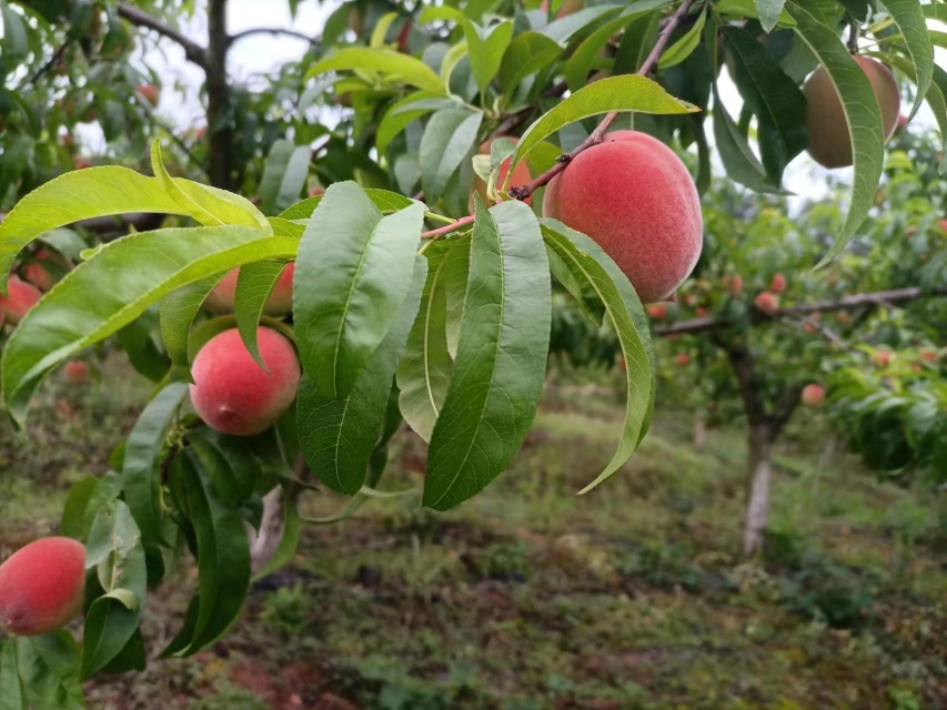 情侣玩扑克牌温馨场景