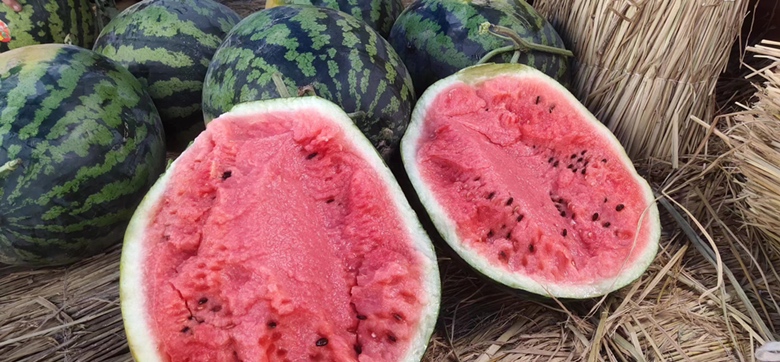 展示一个完整切开的甜王西瓜,中心果肉鲜红饱满,边缘果肉颜色略浅,清晰展示中心与边缘甜度差异 西瓜切开示意图