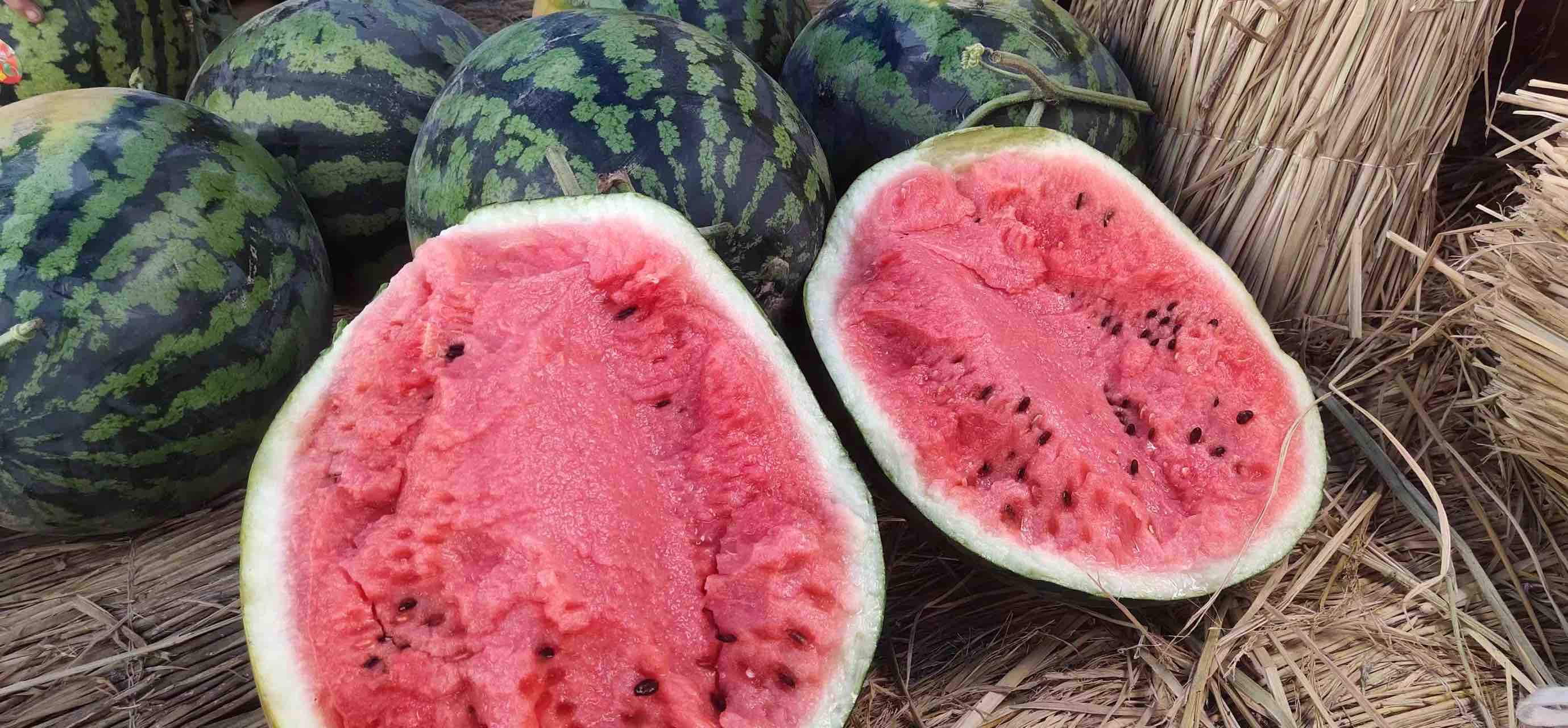 甜王西瓜整体外观