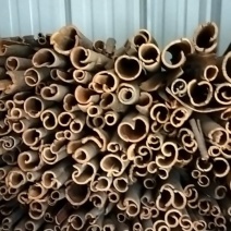 桂皮干货