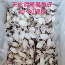 北海干冰墨鱼仔鲜活冷冻海鲜水产去皮鲜冻花枝卷小乌贼目鱼仔