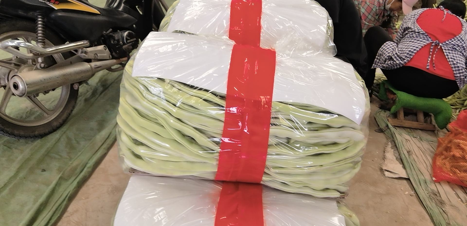 新鲜采摘的优质白不老豆角特写,强调饱满度、蜡质表皮与均匀长度,体现‘嫩而不柴’的核心品质特征 白不老豆角特写:新鲜带露水的浅翠绿色豆荚整齐平铺于竹匾上,豆荚饱满笔直,表面覆薄层天然蜡质光泽,可见清晰纵棱,背景为农家土院墙