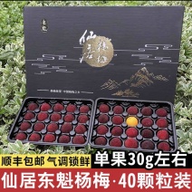 仙居杨梅皇新鲜正宗浙江东魁杨梅当季水果鲜果现摘现发特大果