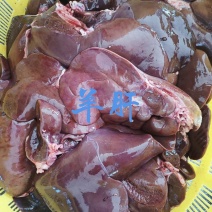 【羊肝】当地扒皮羊绵羊的羔羊肝！新鲜速冻！箱装！量大优惠